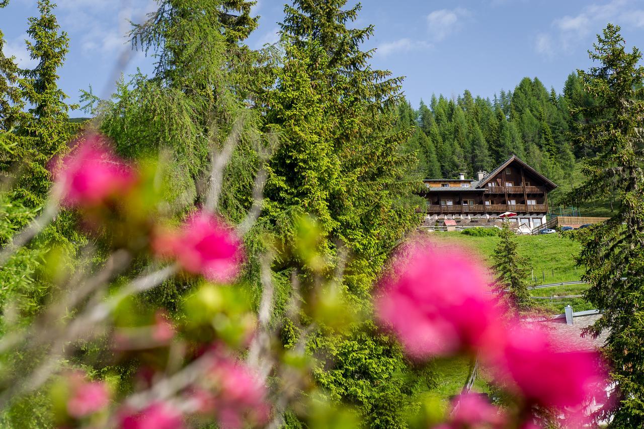 Sattleggers Alpenhof & Feriensternwarte Hotel Greifenburg Luaran gambar