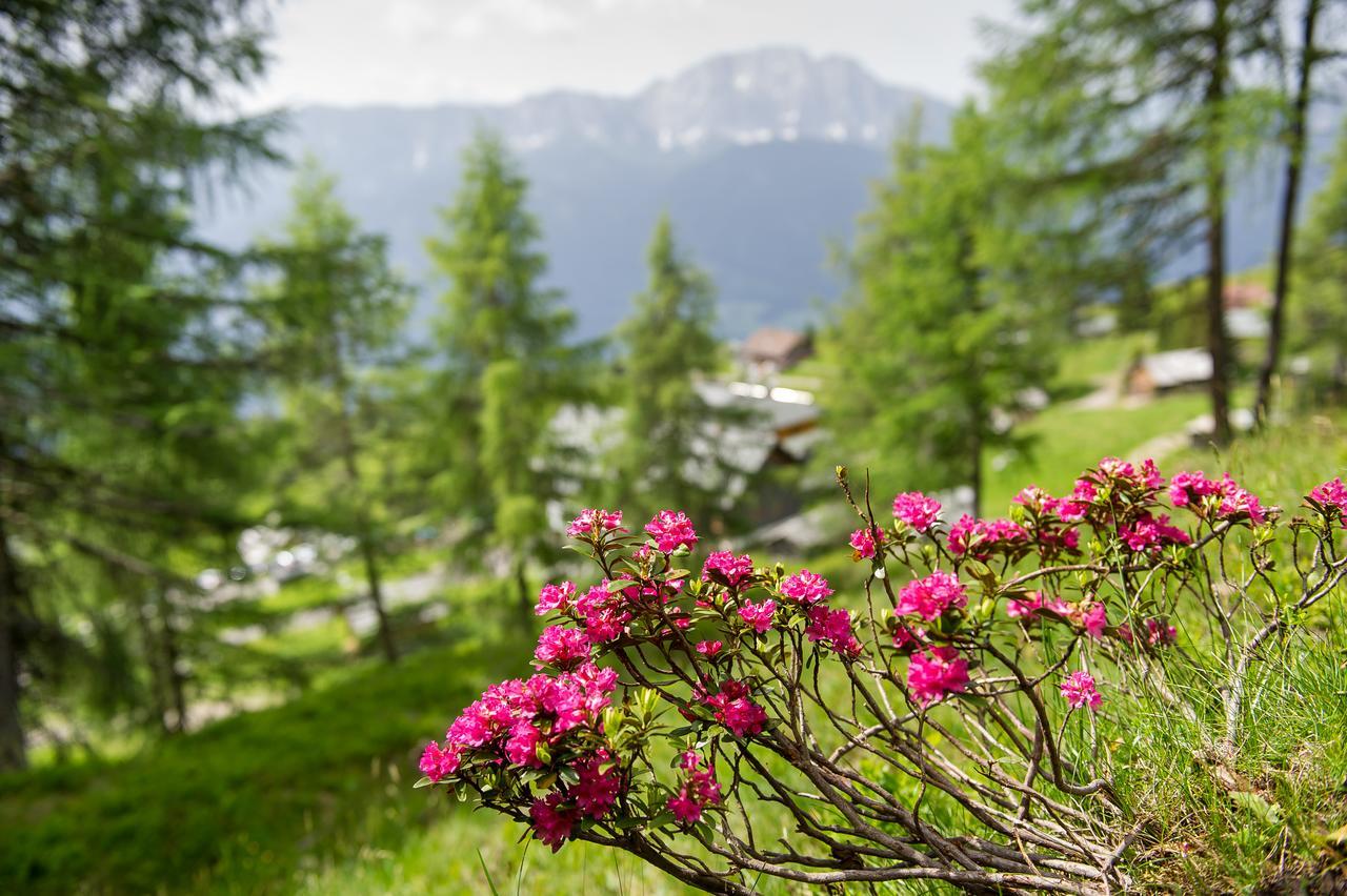 Sattleggers Alpenhof & Feriensternwarte Hotel Greifenburg Luaran gambar